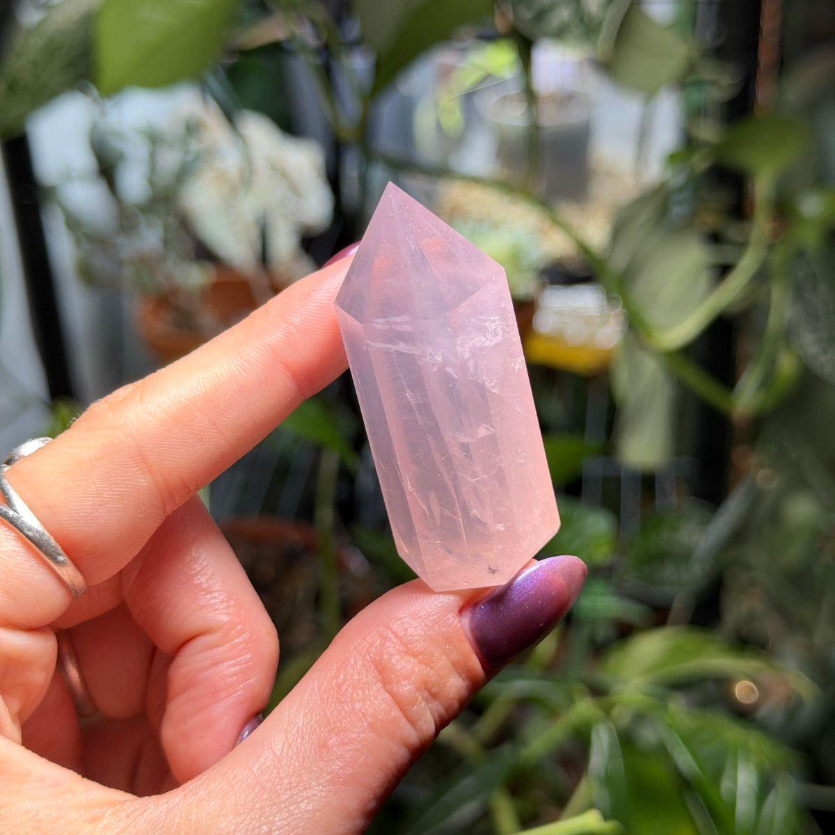 Rose Quartz Towers