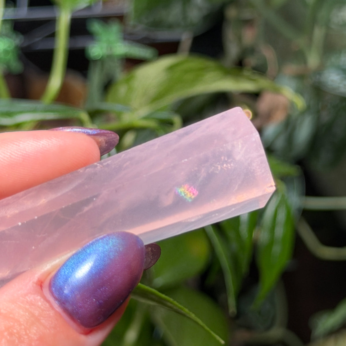 Rose Quartz Towers