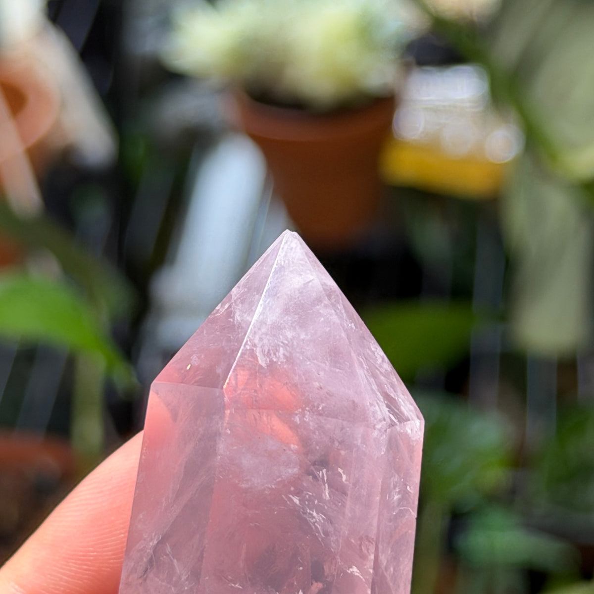 Rose Quartz Towers