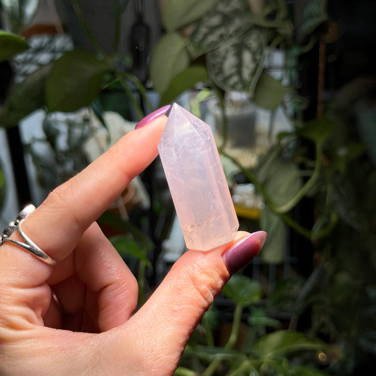Rose Quartz Towers