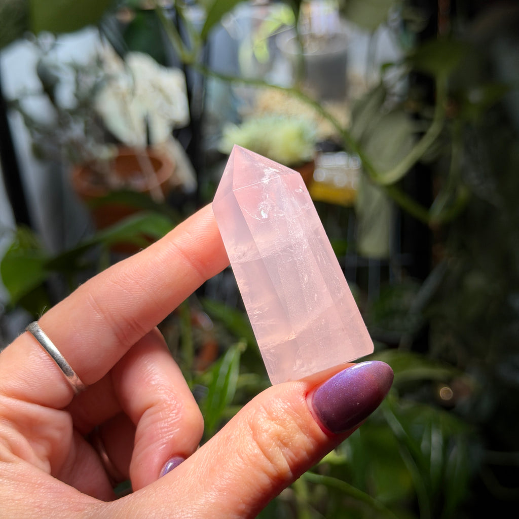 Rose Quartz Towers