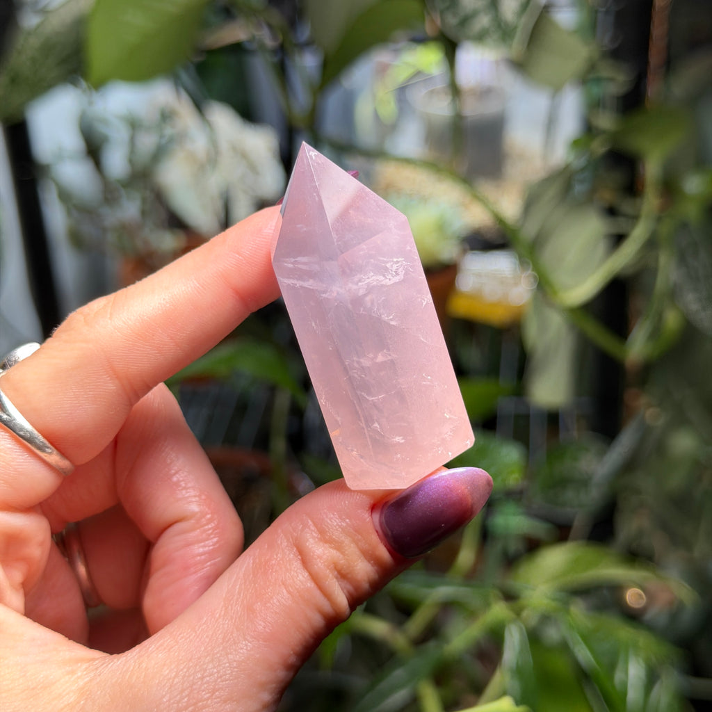 Rose Quartz Towers
