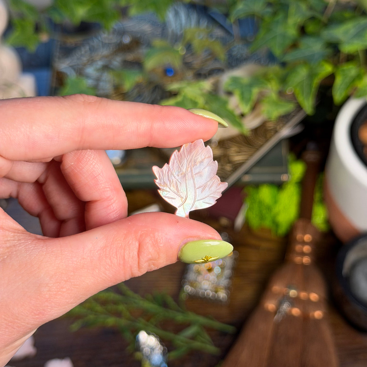 Pink Shell Carving