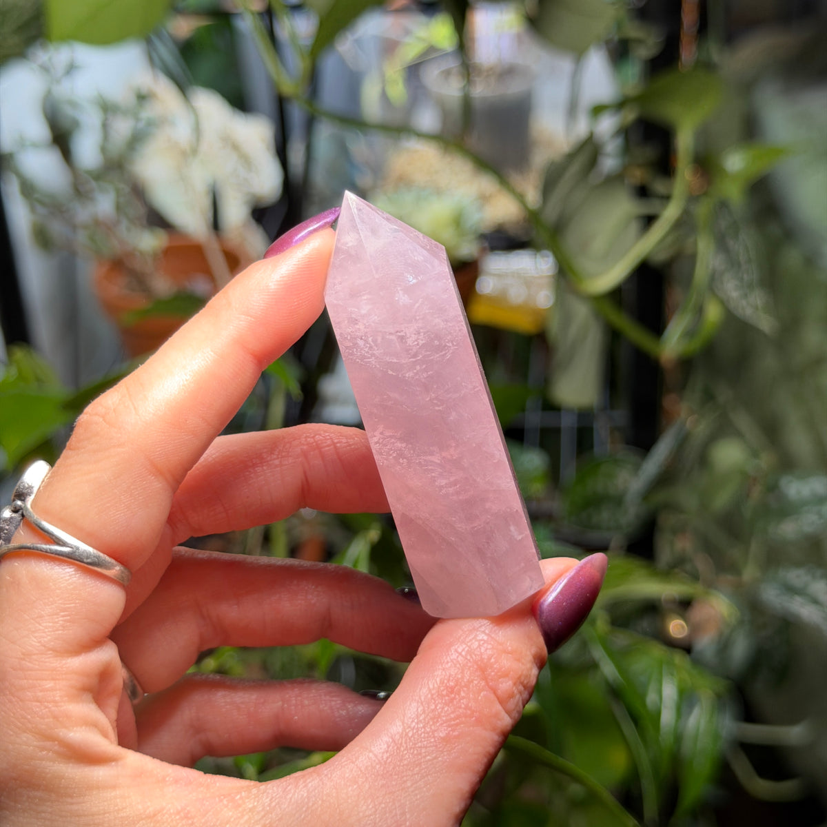 Rose Quartz Towers
