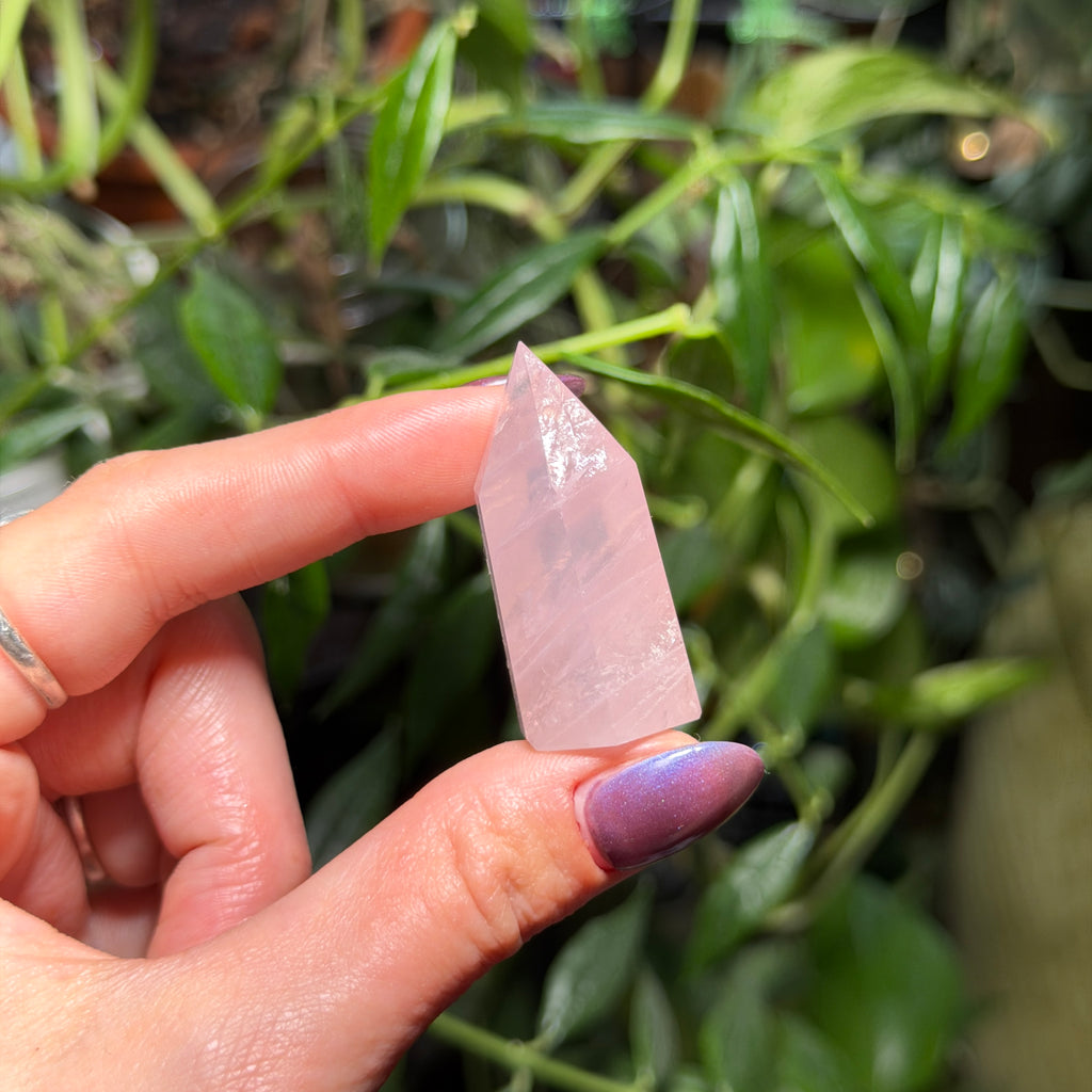 Rose Quartz Towers