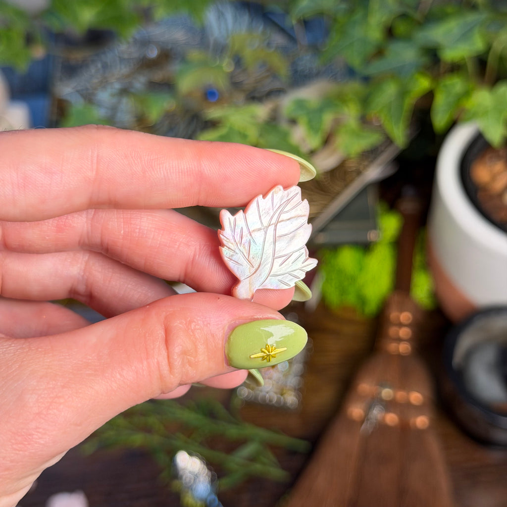 Pink Shell Carving