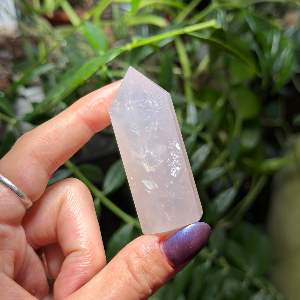 Rose Quartz Towers