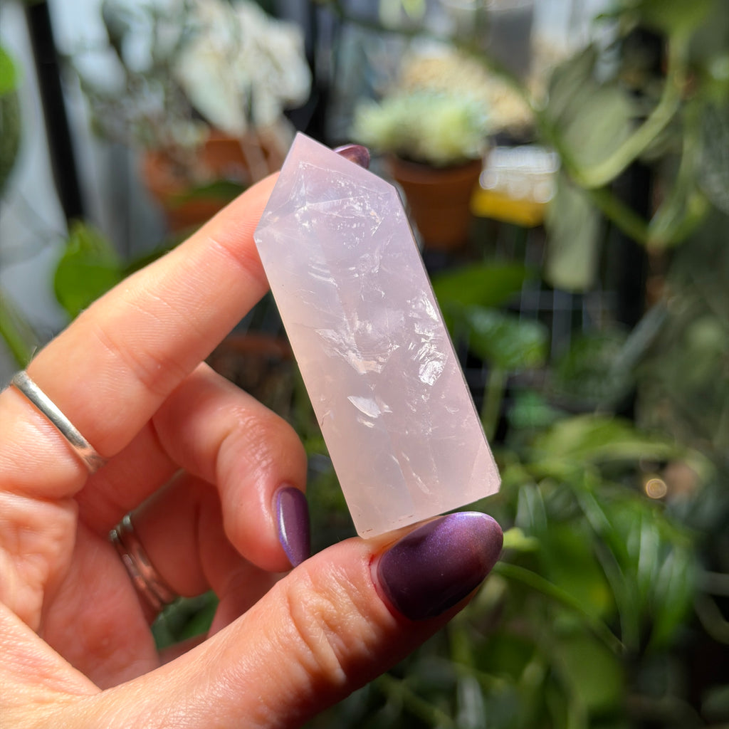 Rose Quartz Towers