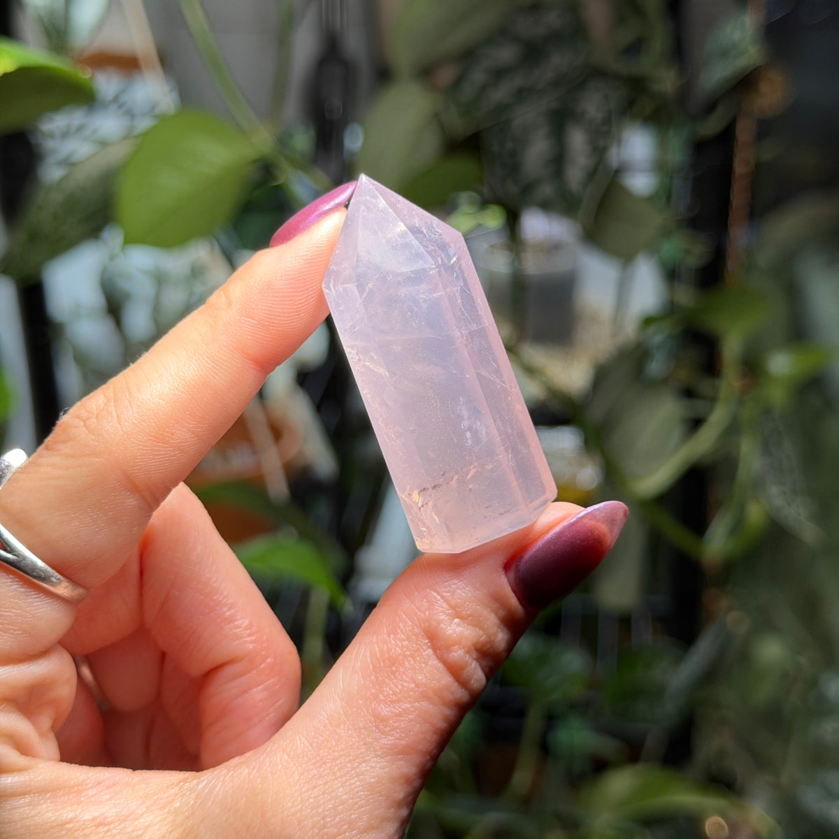 Rose Quartz Towers