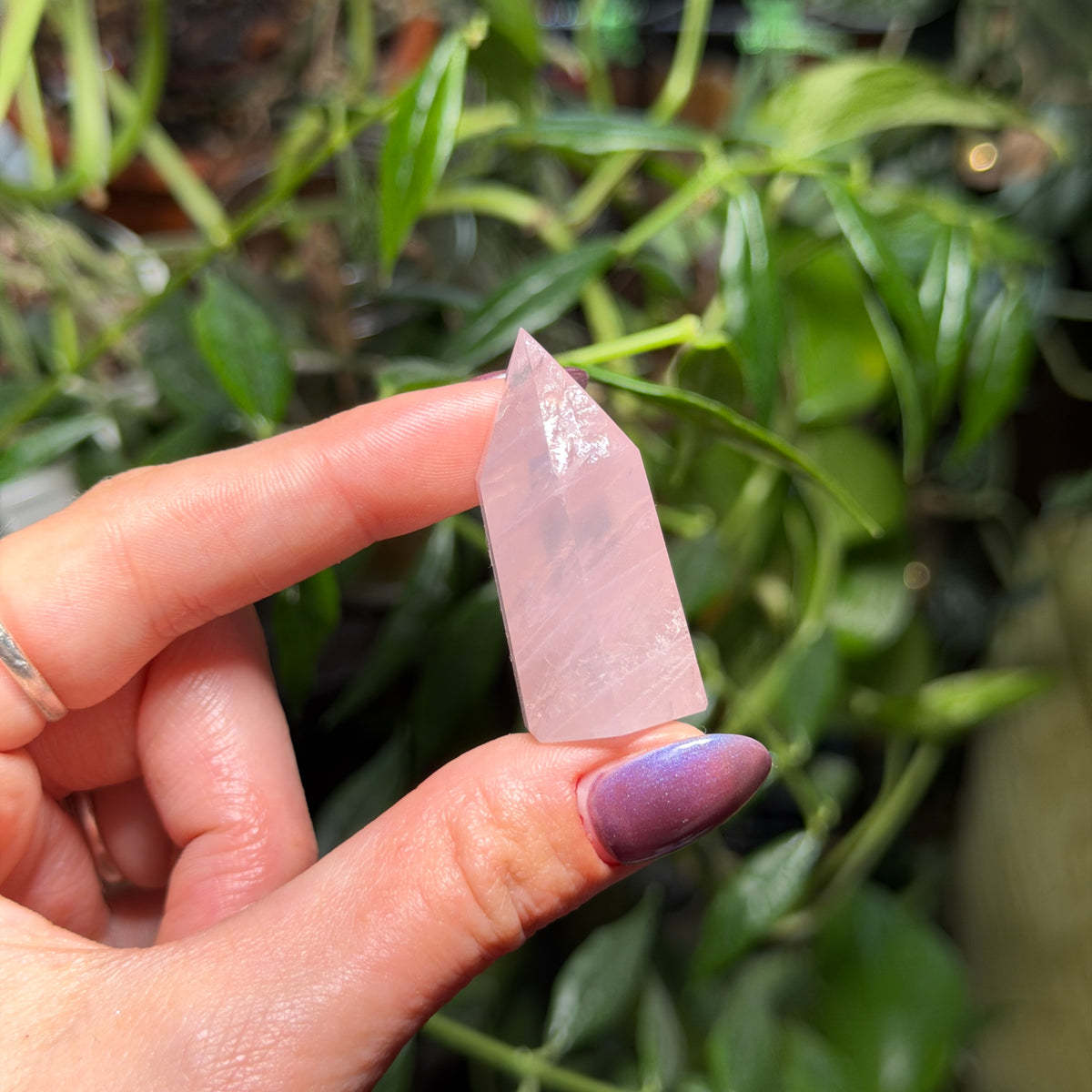 Rose Quartz Towers