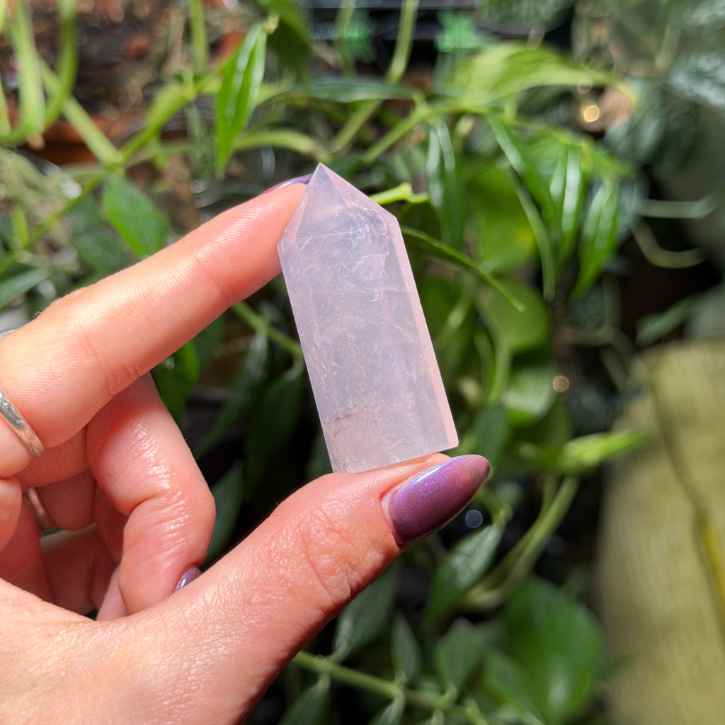 Rose Quartz Towers