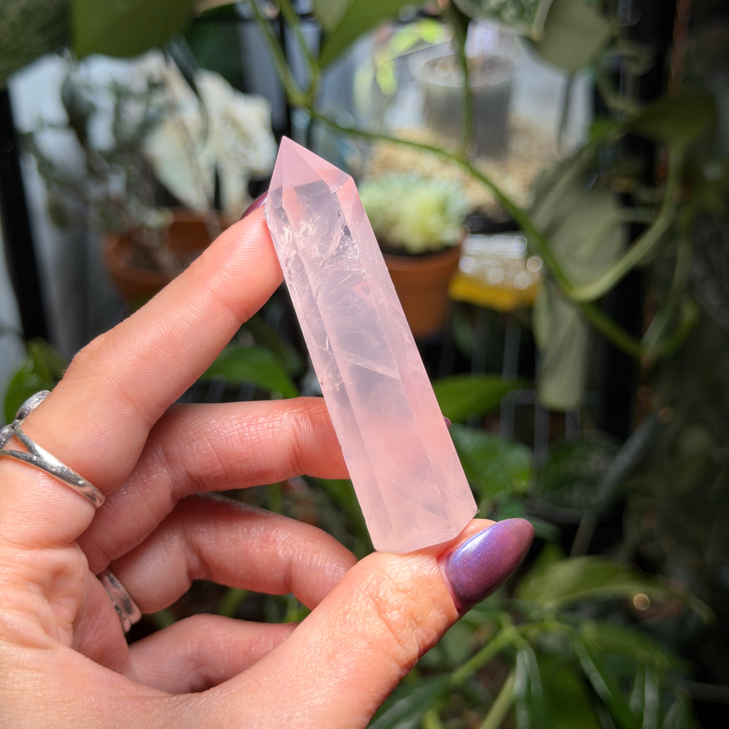 Rose Quartz Towers