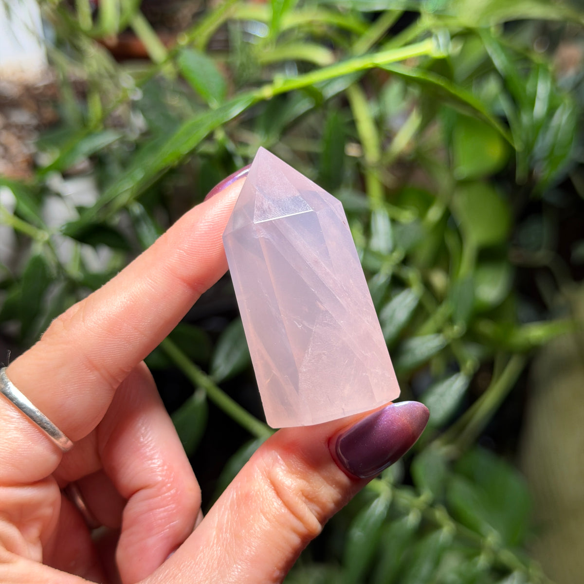 Rose Quartz Towers