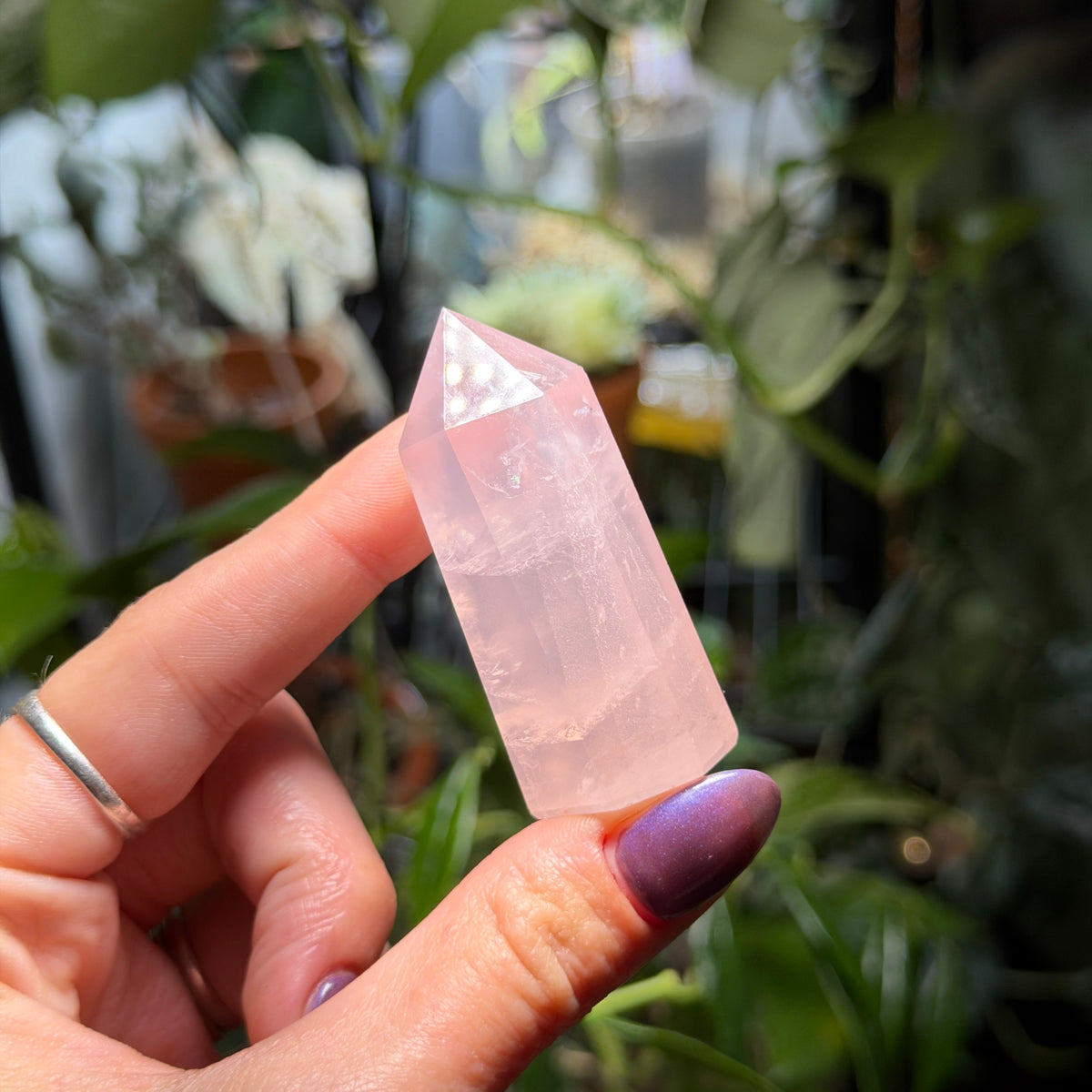 Rose Quartz Towers