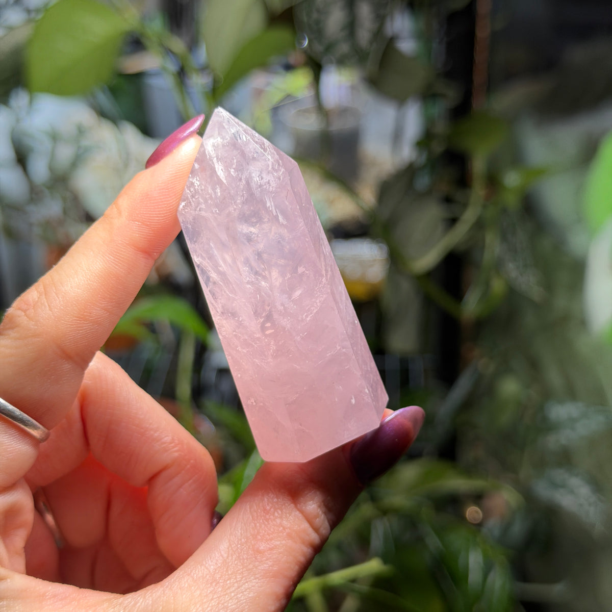 Rose Quartz Towers