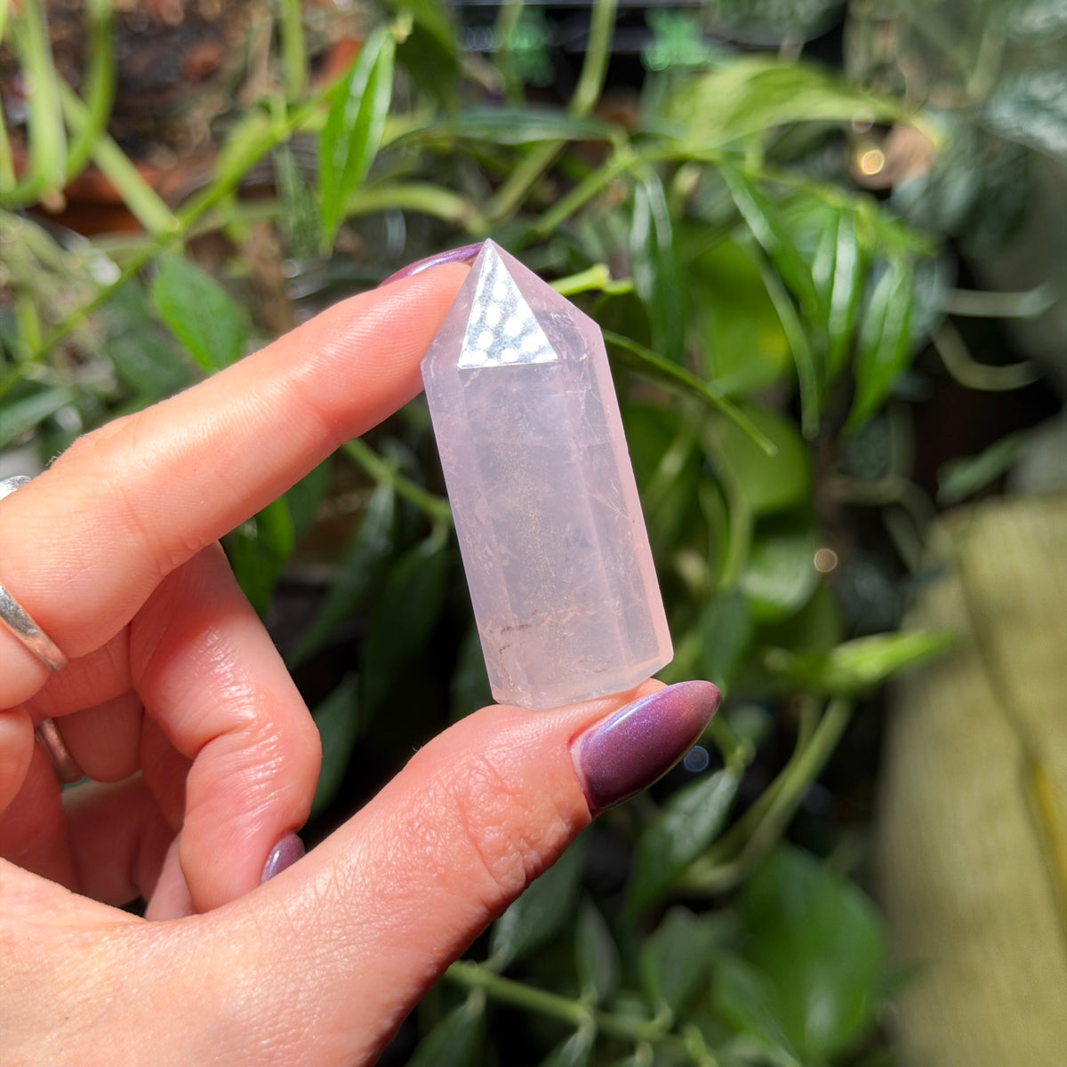 Rose Quartz Towers