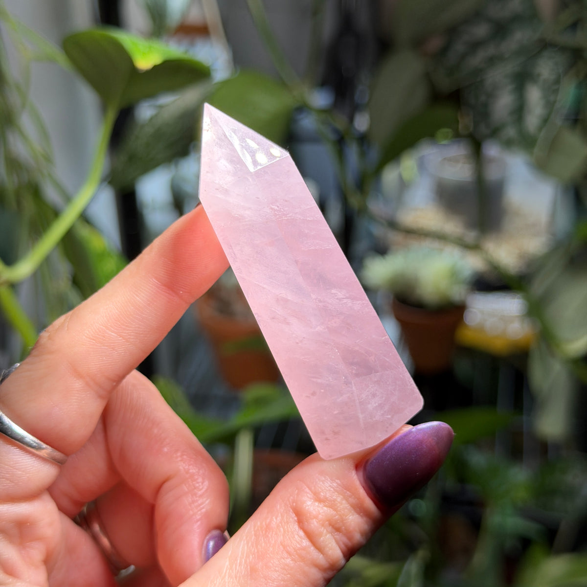Rose Quartz Towers