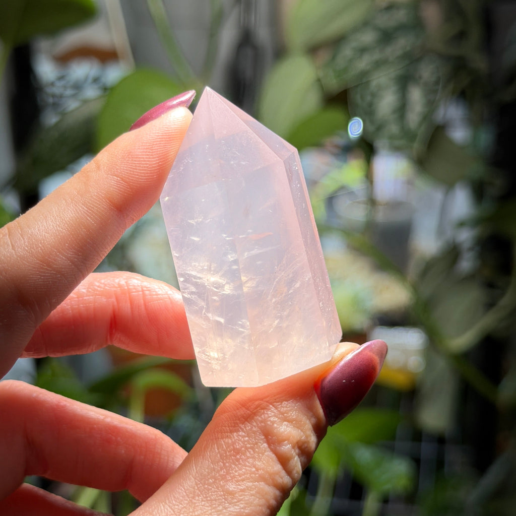 Rose Quartz Towers