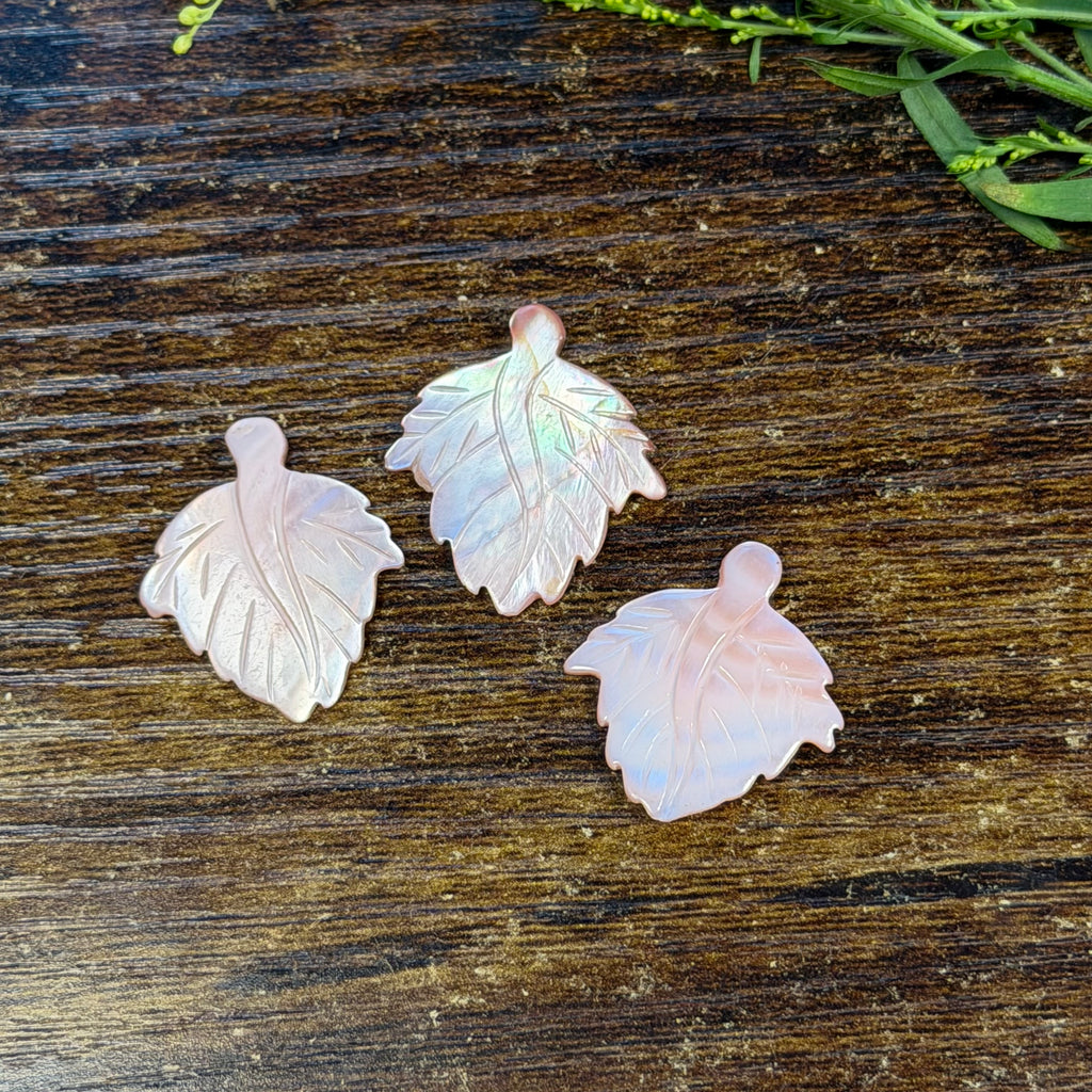 Pink Shell Carving
