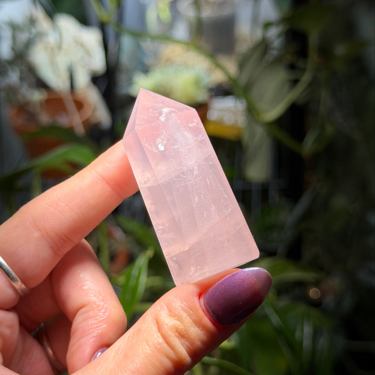 Rose Quartz Towers