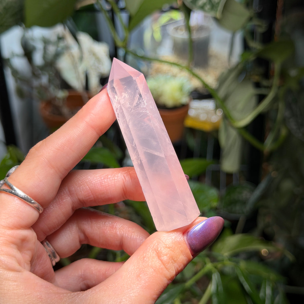 Rose Quartz Towers