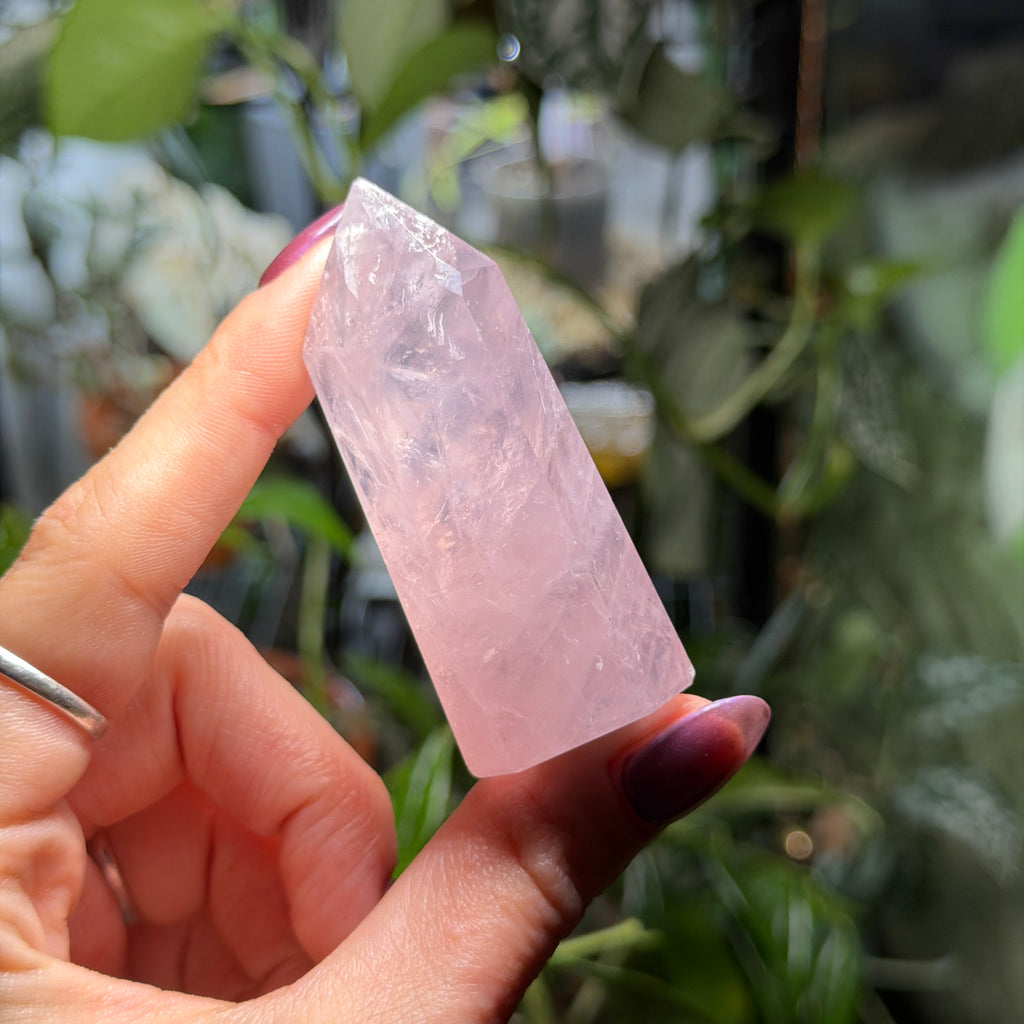 Rose Quartz Towers