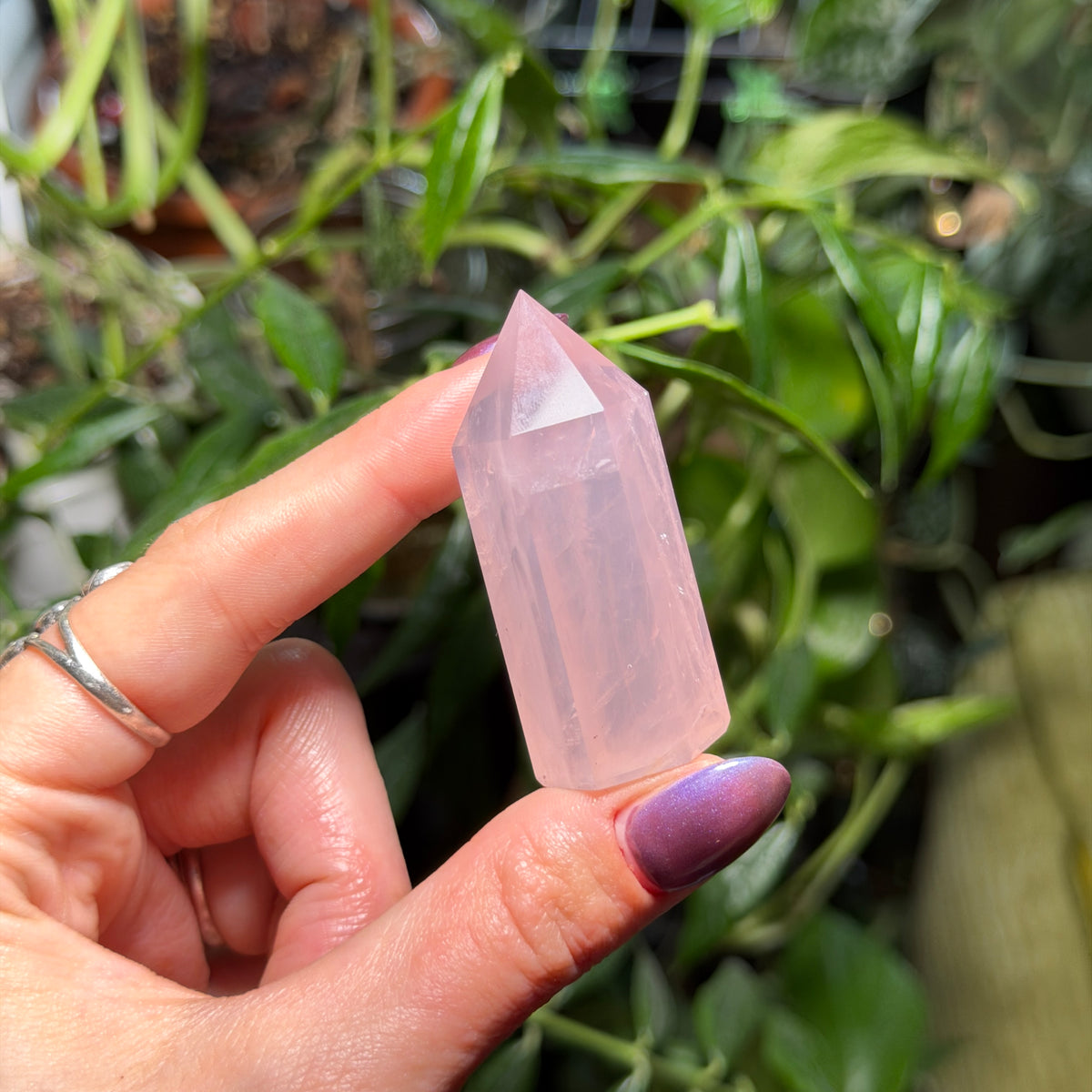 Rose Quartz Towers