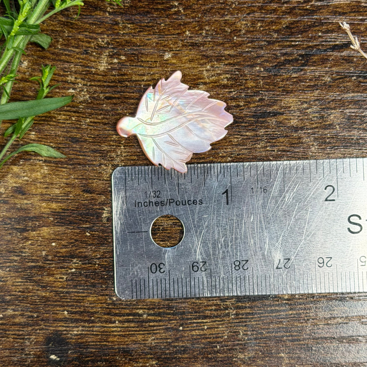 Pink Shell Carving