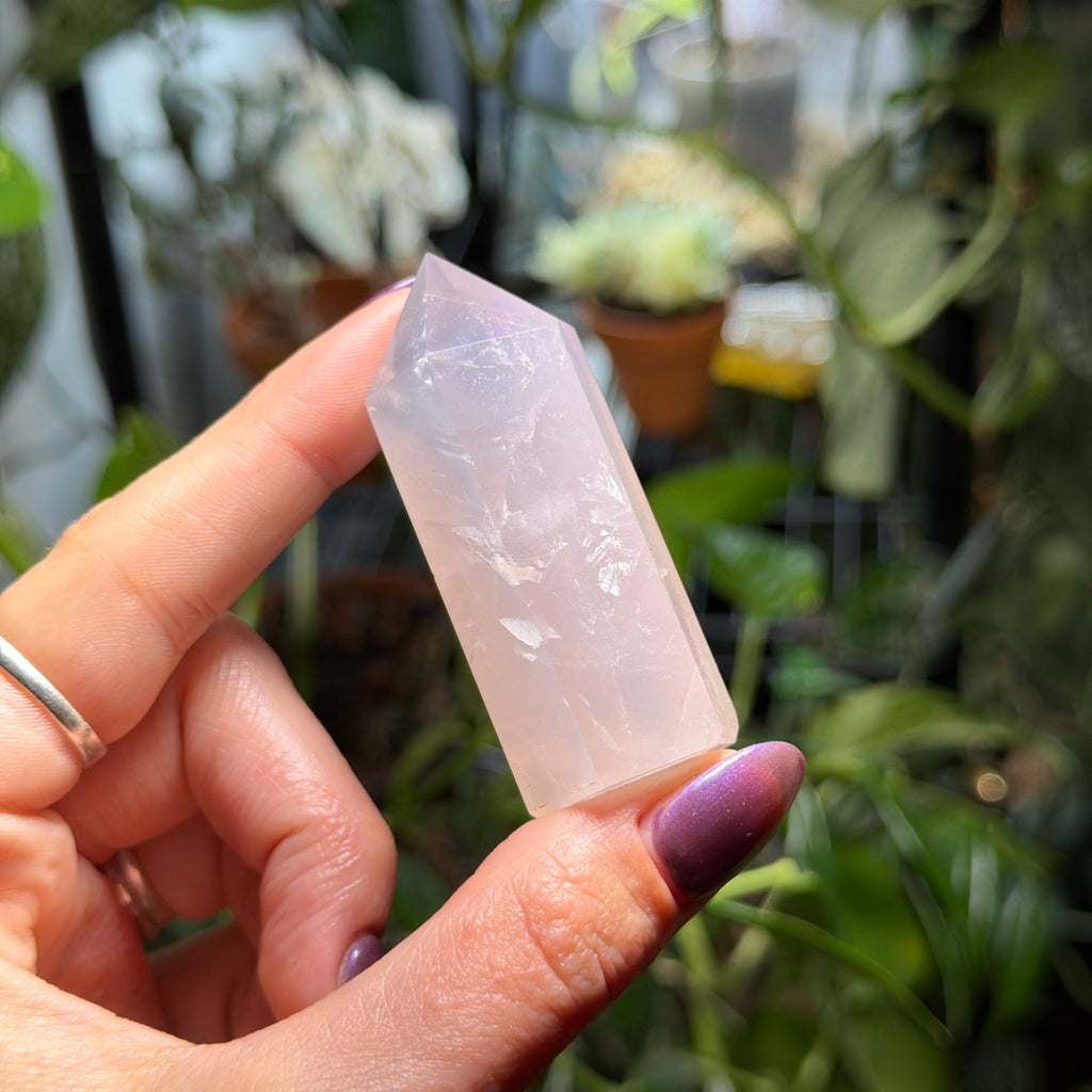 Rose Quartz Towers