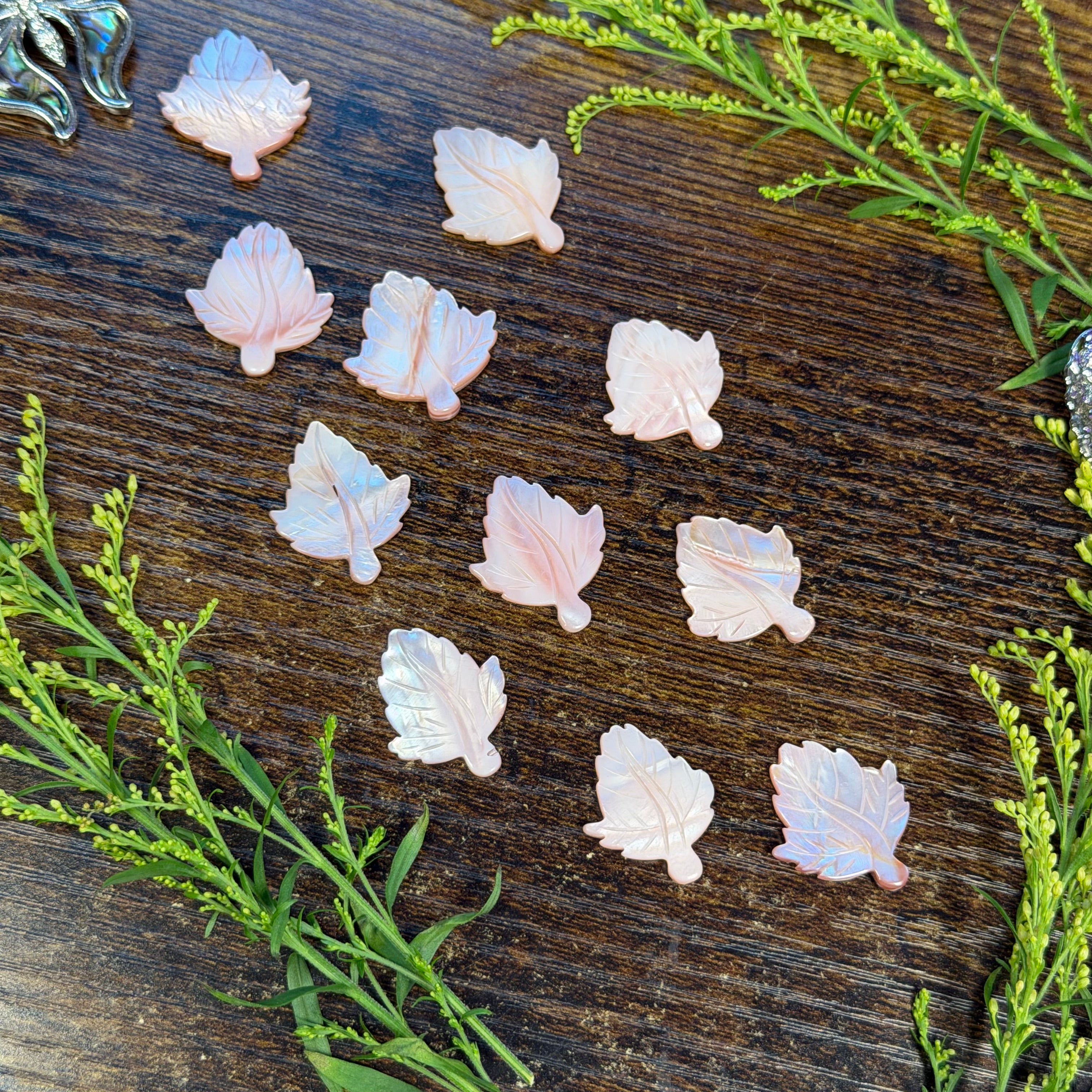 Pink Shell Carving