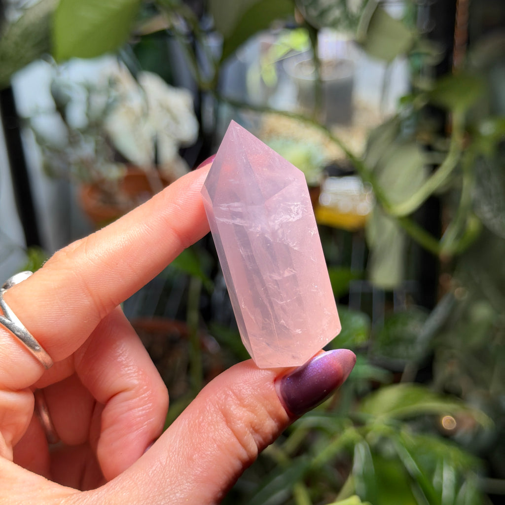 Rose Quartz Towers