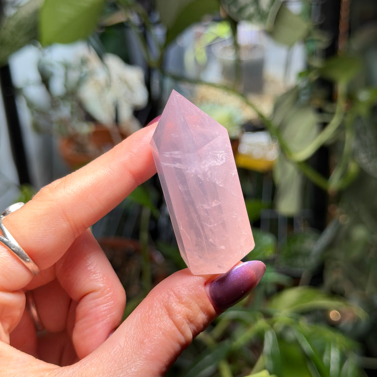 Rose Quartz Towers
