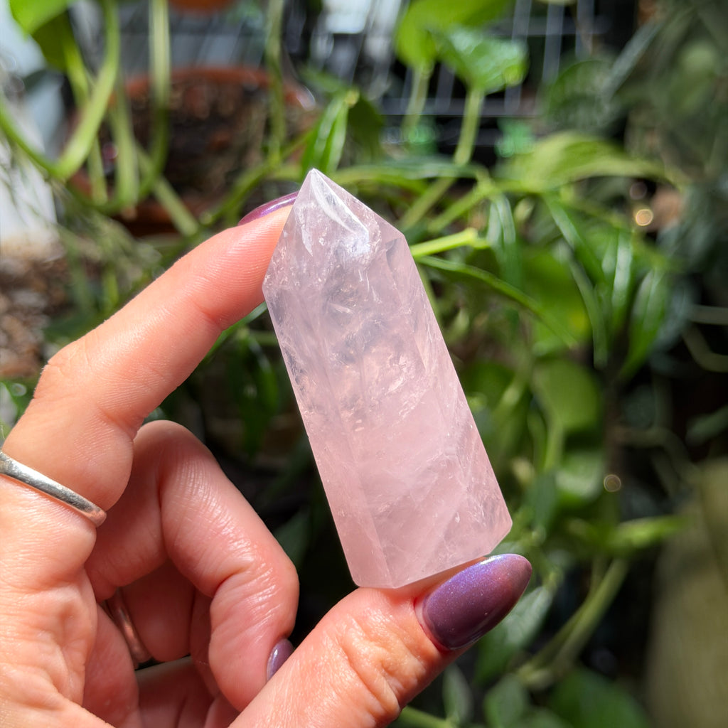 Rose Quartz Towers