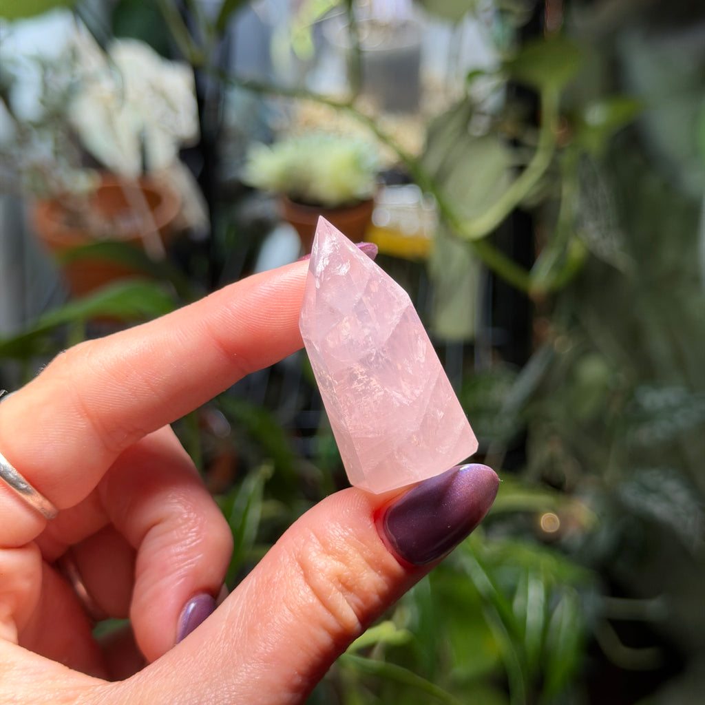 Rose Quartz Towers