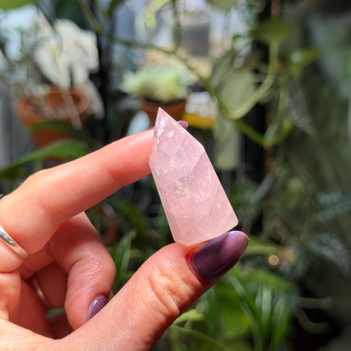 Rose Quartz Towers