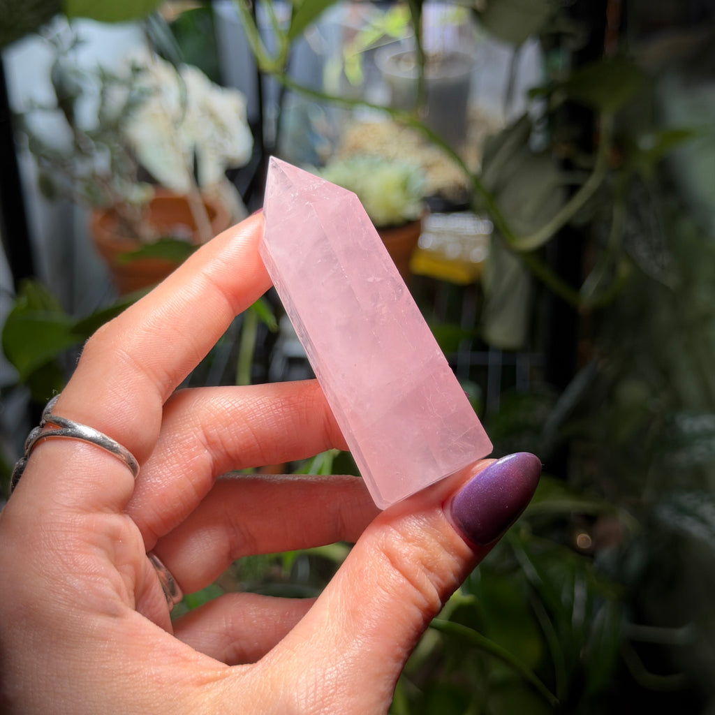 Rose Quartz Towers