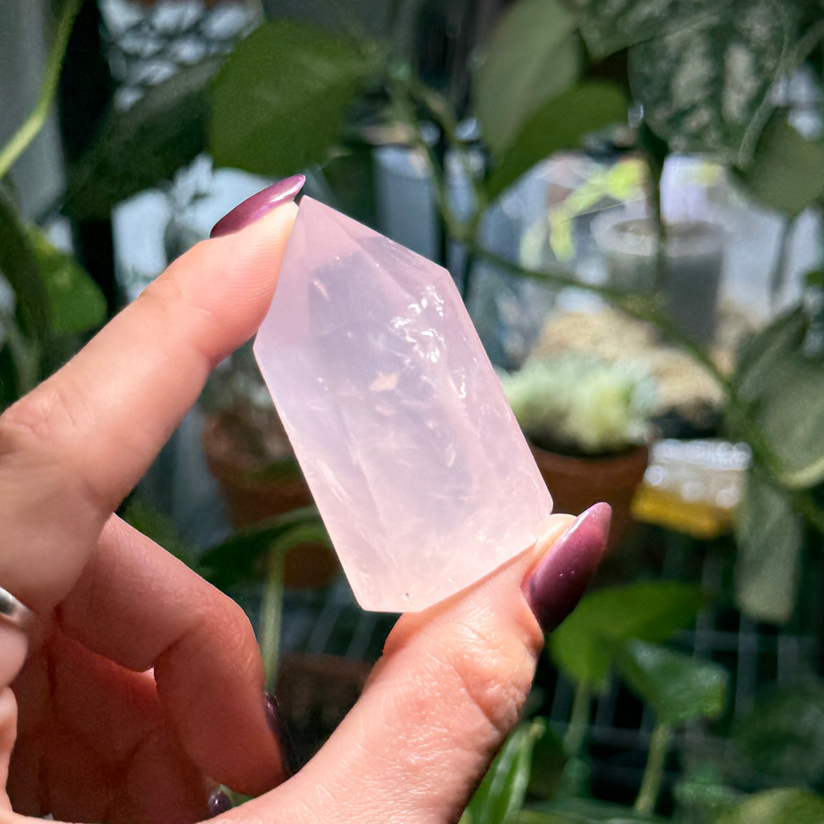 Rose Quartz Towers