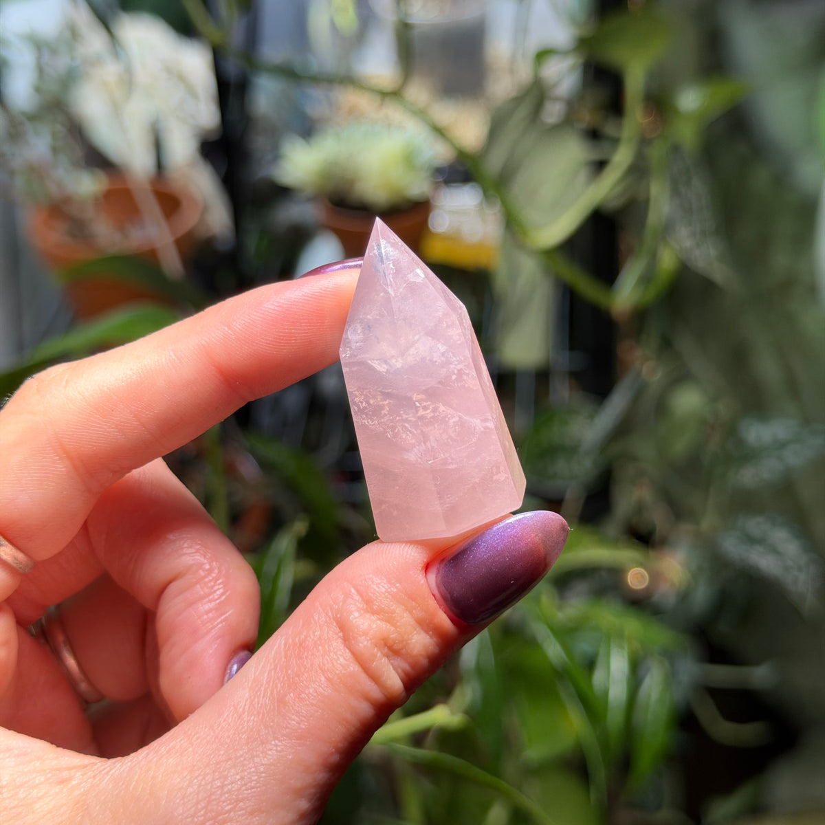 Rose Quartz Towers