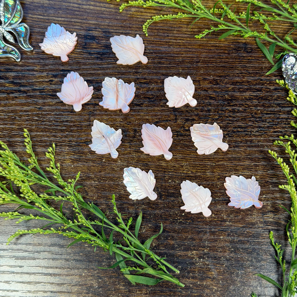 Pink Shell Carving