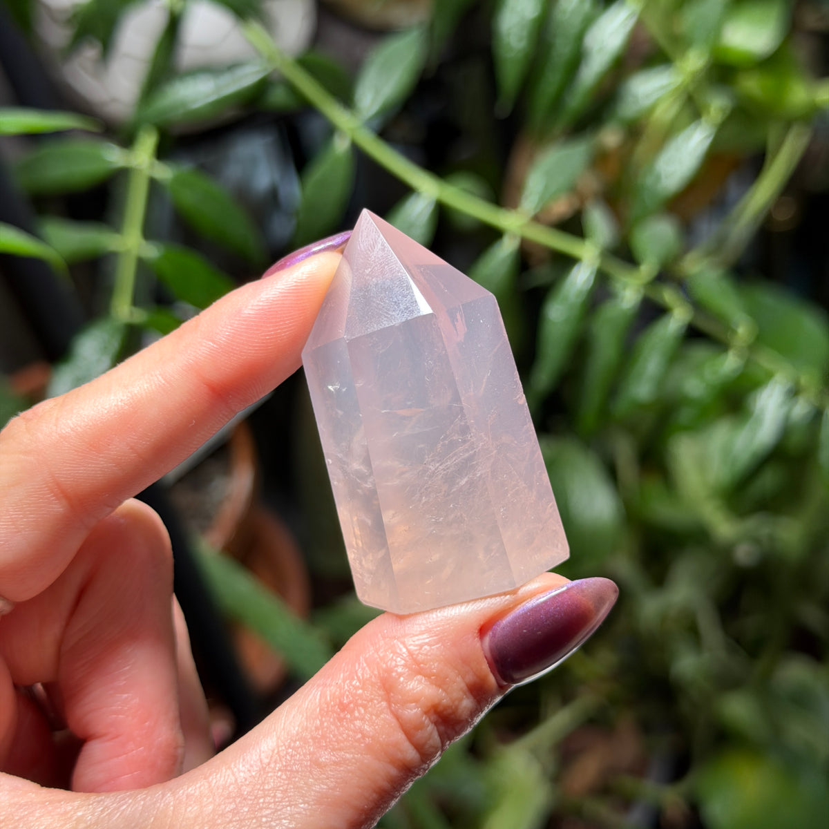 Rose Quartz Towers