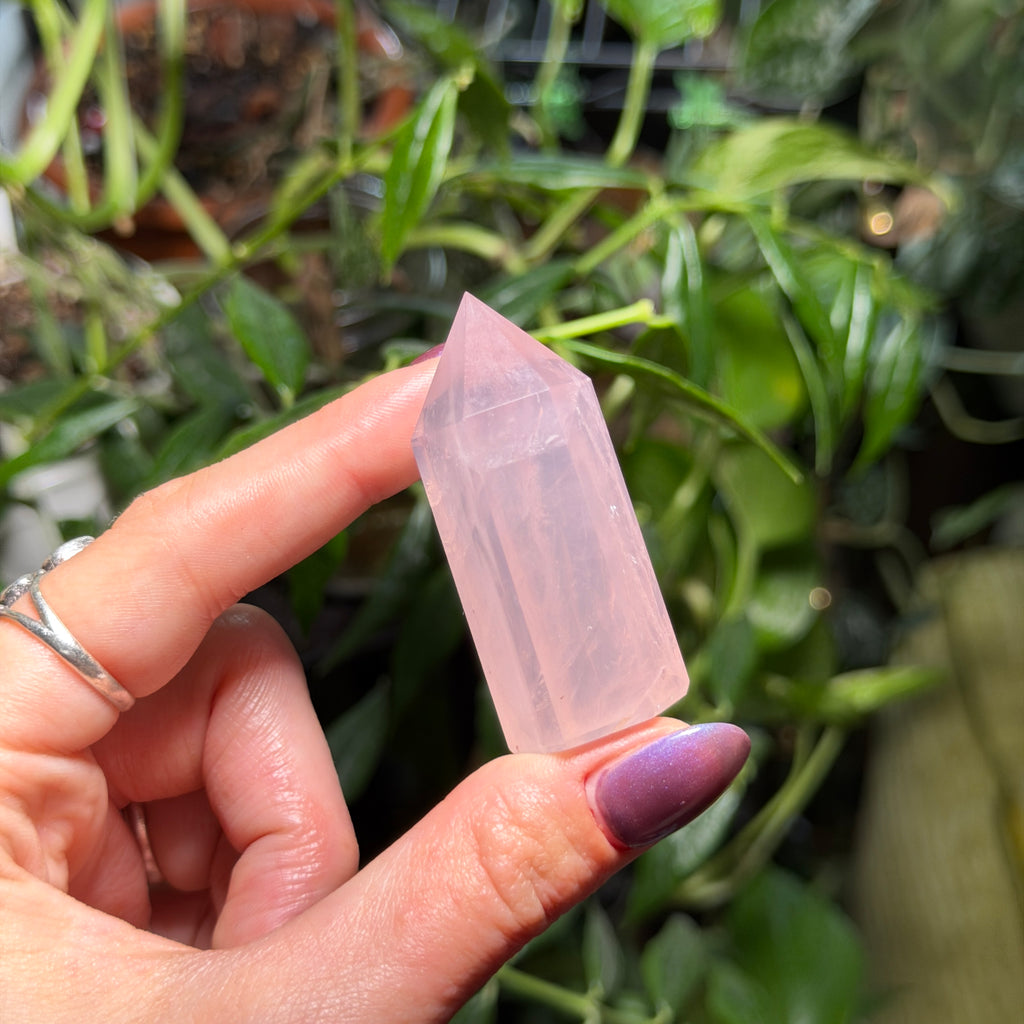 Rose Quartz Towers
