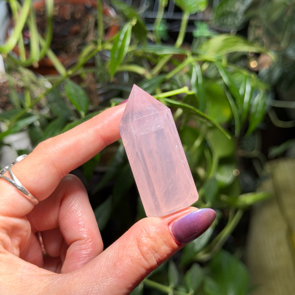 Rose Quartz Towers