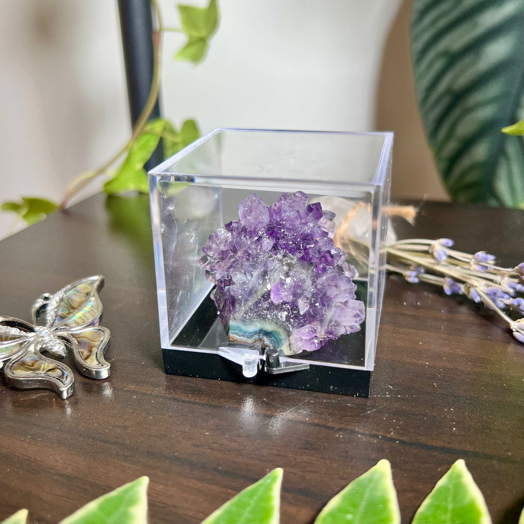 Flower Amethyst Collector Box