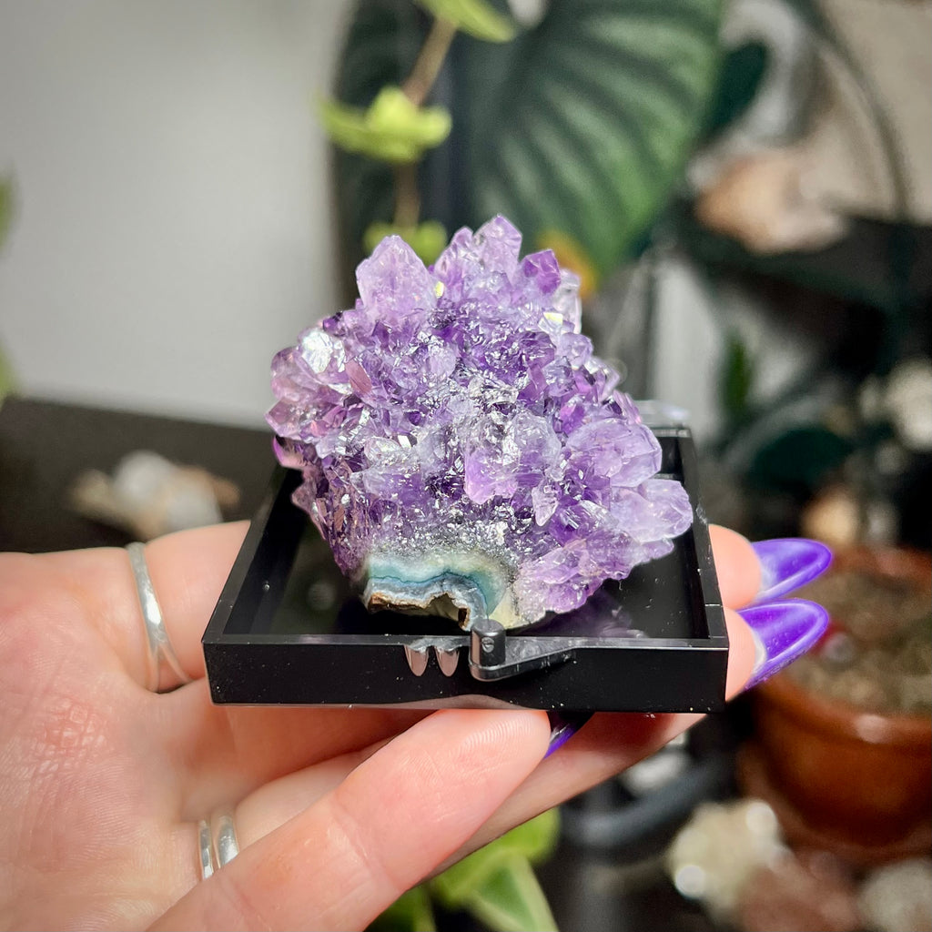 Flower Amethyst Collector Box