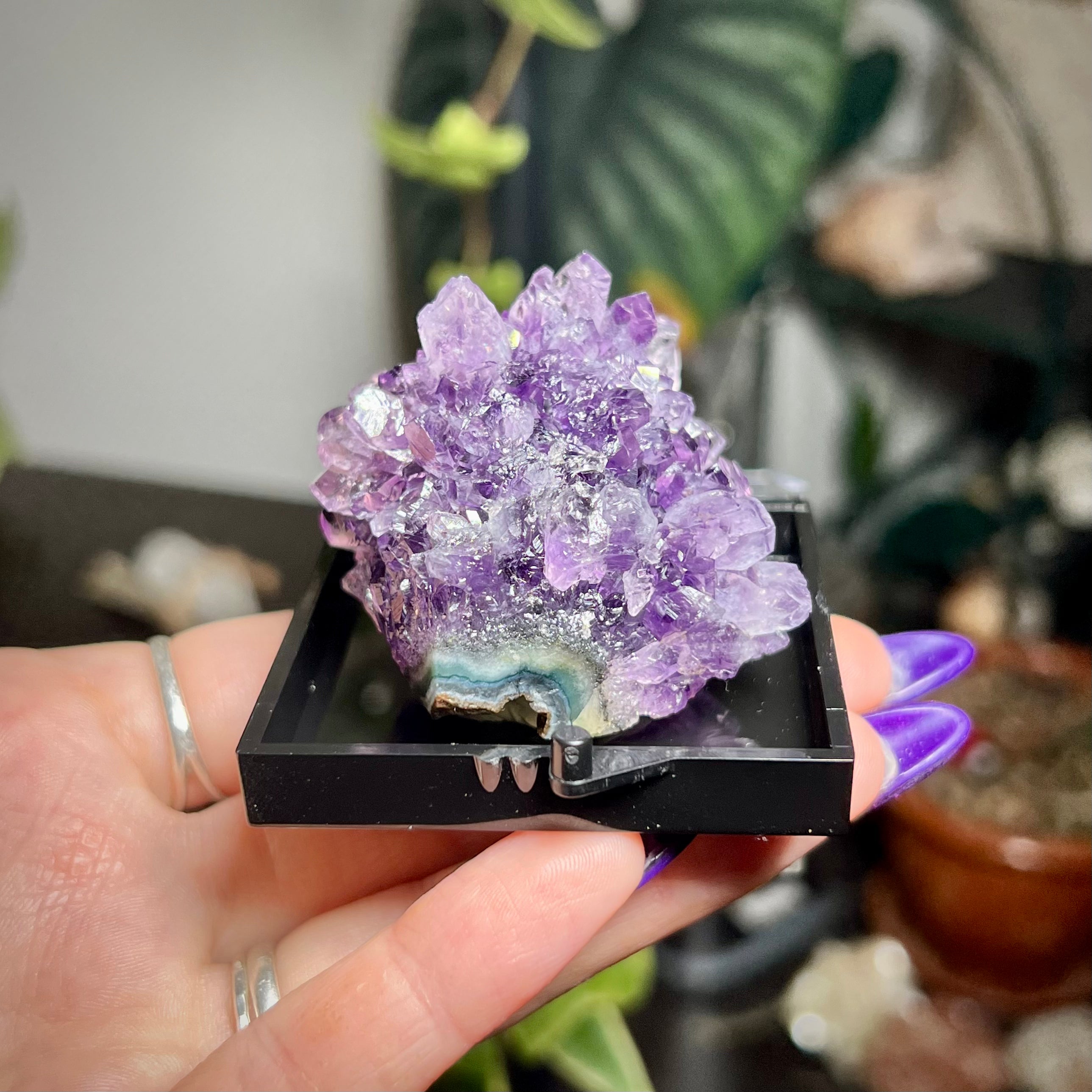 Flower Amethyst Collector Box