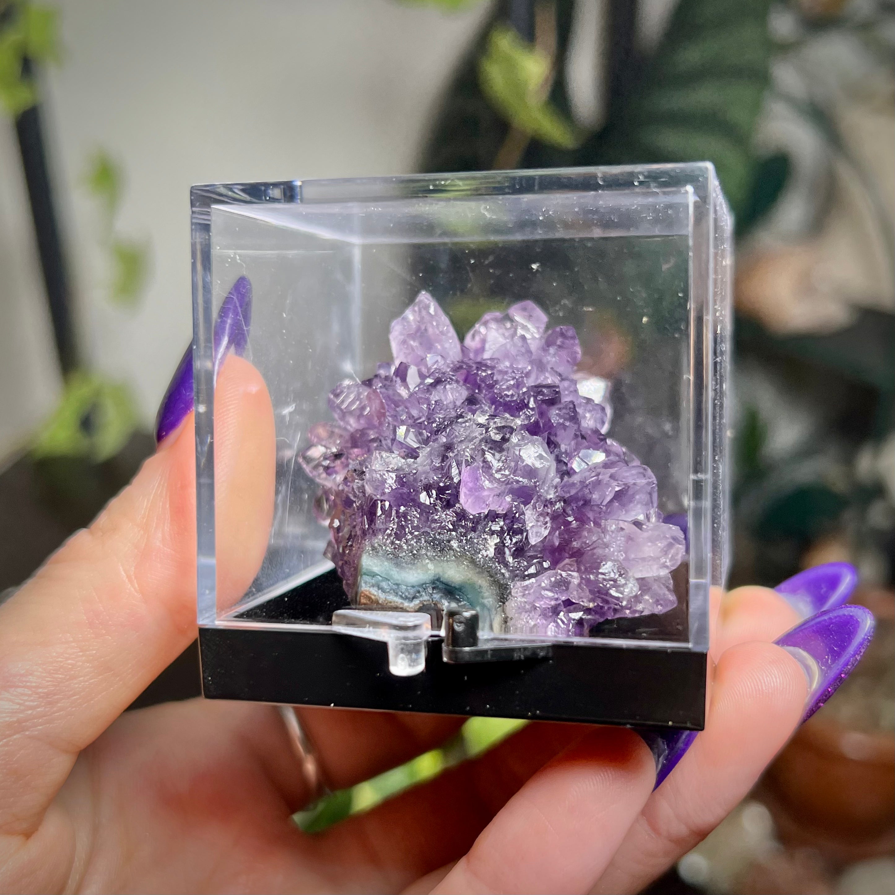 Flower Amethyst Collector Box