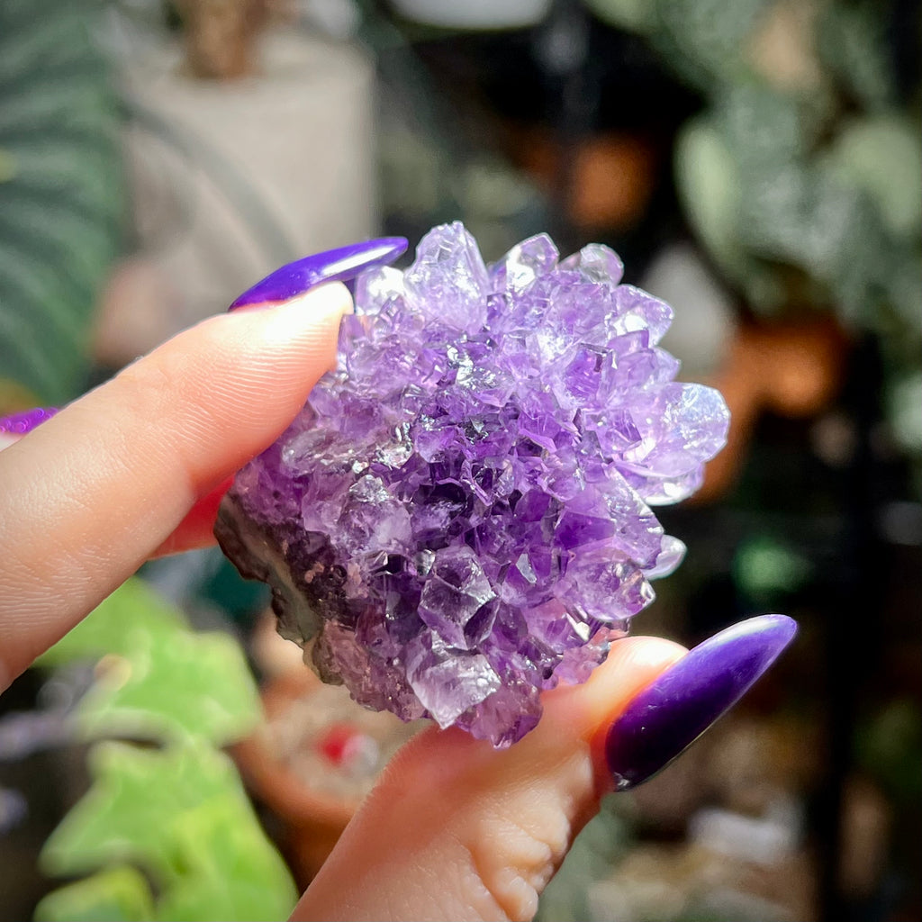 Flower Amethyst Collector Box