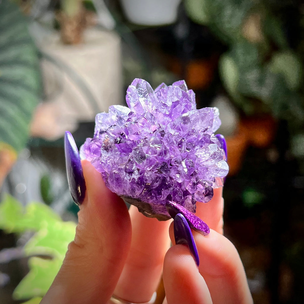 Flower Amethyst Collector Box