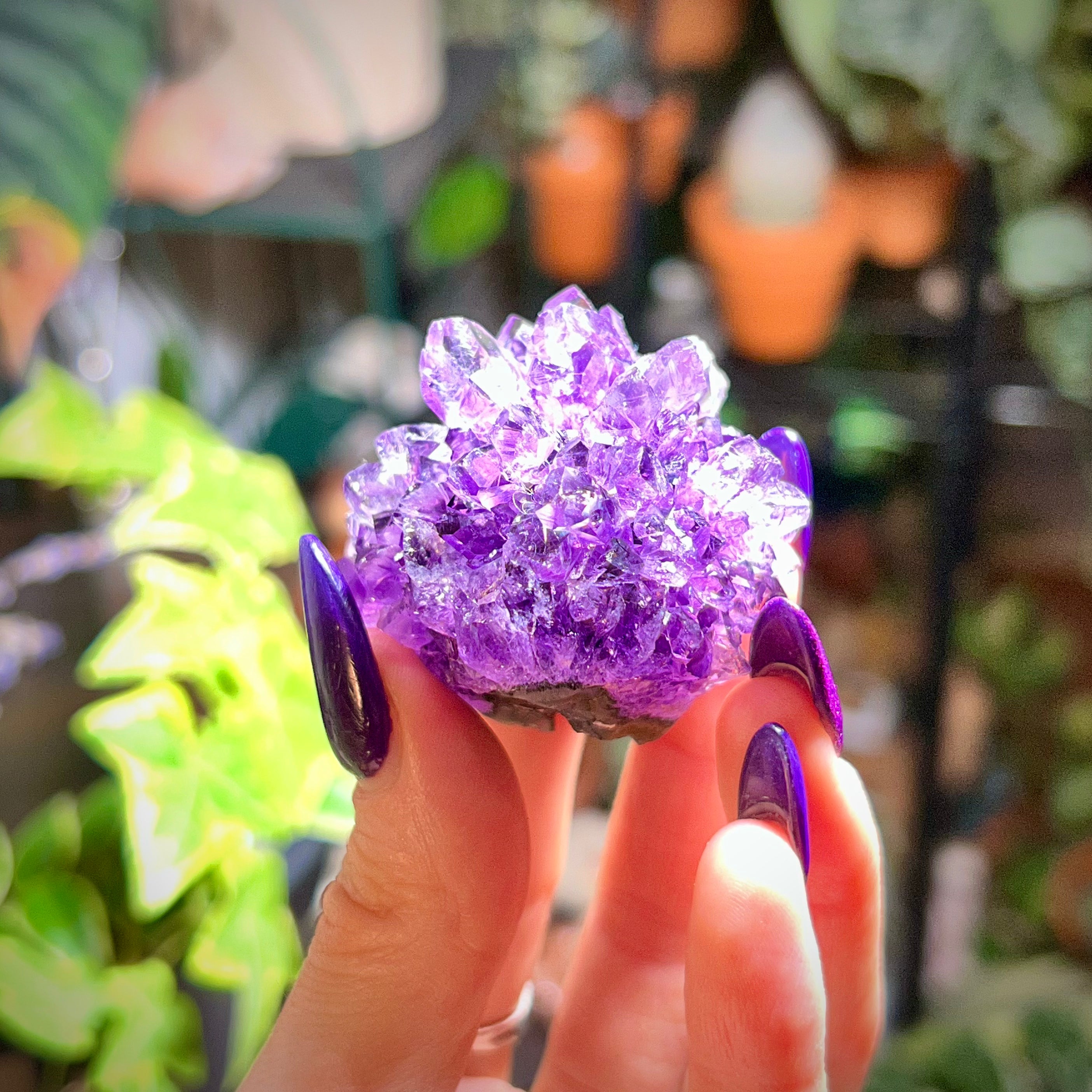 Flower Amethyst Collector Box