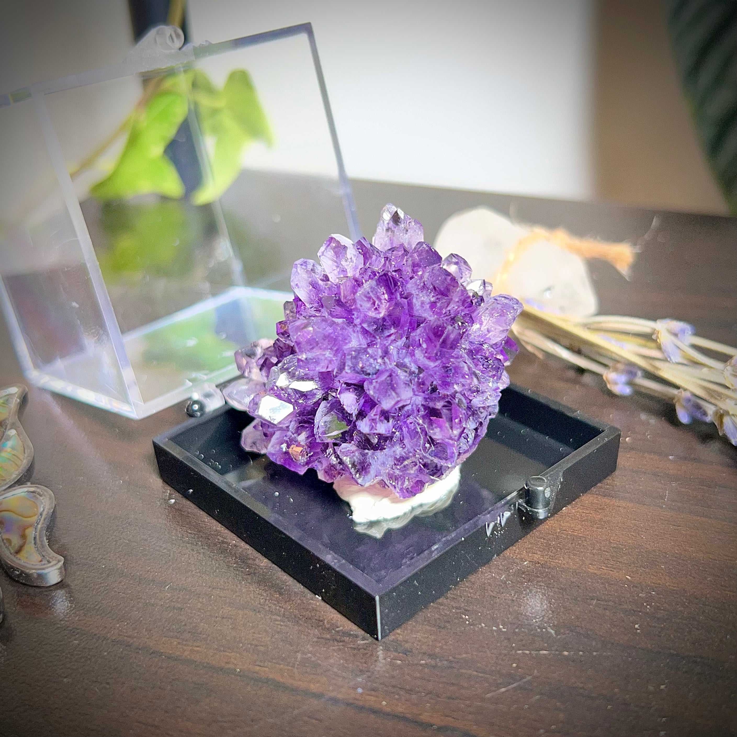 Flower Amethyst Collector Box